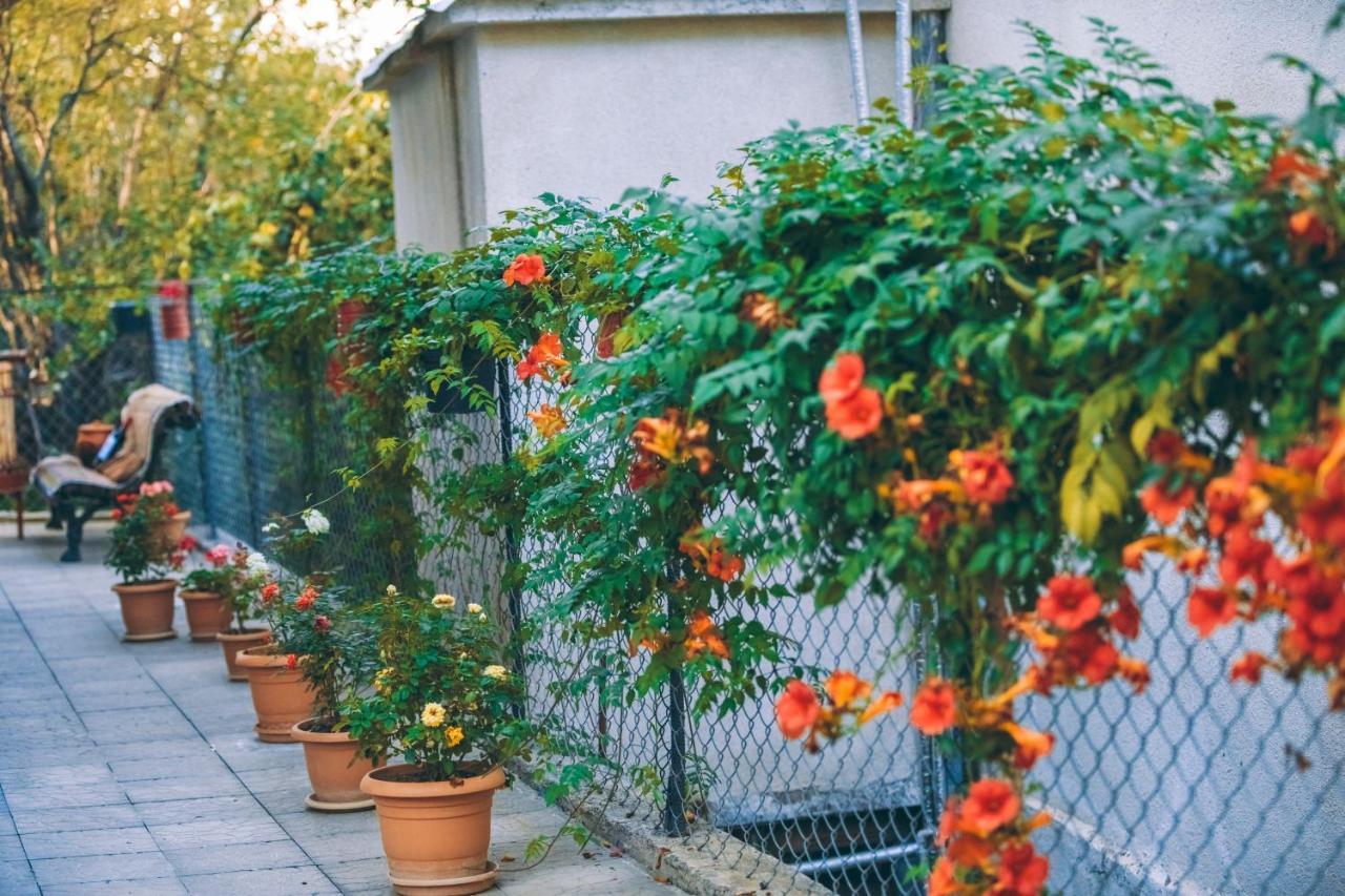 Makos Guest House 쿠타이시 외부 사진